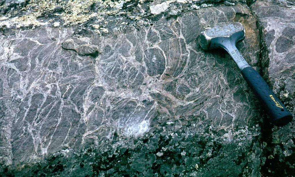 Metapelites Figure 28-20. Veins developed in pelitic hornfelses within a few meters of the contact with diorite.