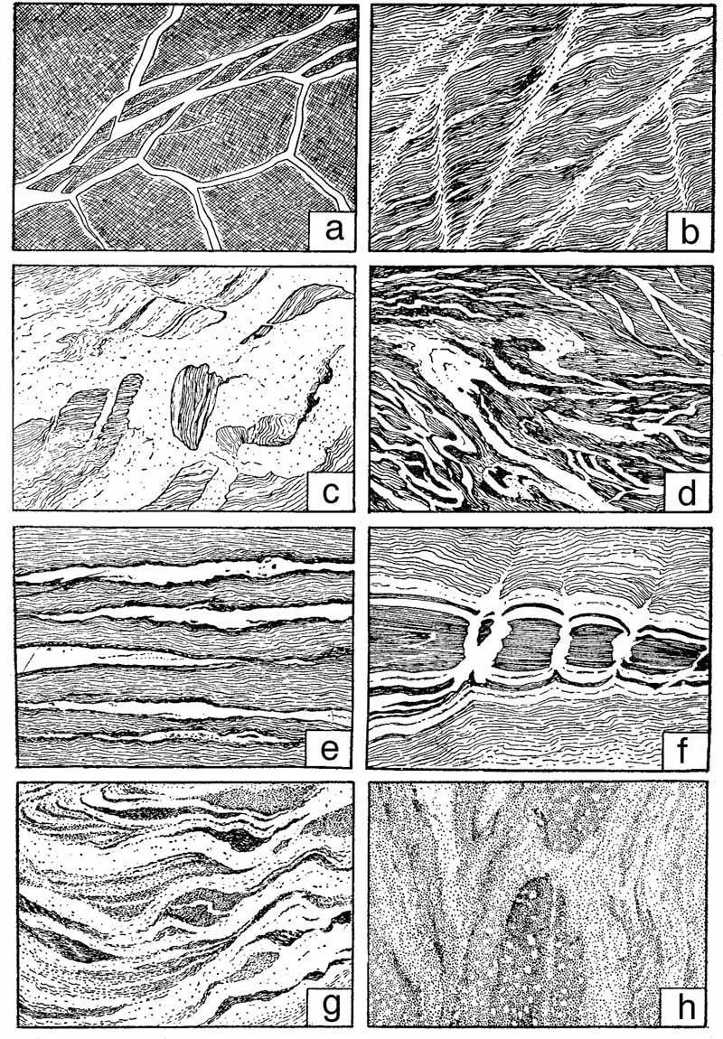 Metapelites Figure 28-22. Some textures of migmatites. a. Breccia structure in agmatite. b. Netlike structure.