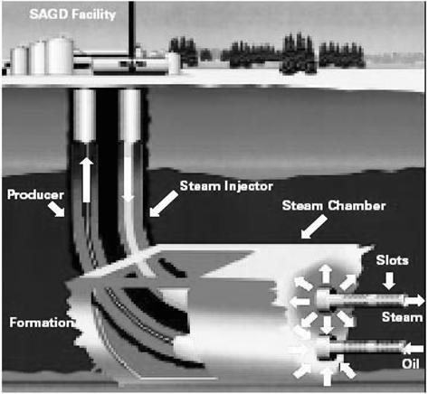 m lrp n in-situ p CSS(cyclic steam stimulation), SAGD(steam assisted gravity drainage) p p. q } l p Œ p in-situ r v, in-situ p kv p.