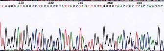 (6) Genomic DNA의 G + C mol% 측정 Genomic DNA는 Nuclease P1으로분해하여 phosphatase처리를하여 HPLC 방법으 로측정하였다. (7) Whole cell fatty acid ( 총균지방산측정) 측정 용하였다.