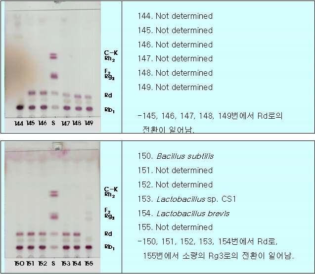 Fig. 23.