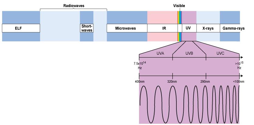 Figure 13-01.