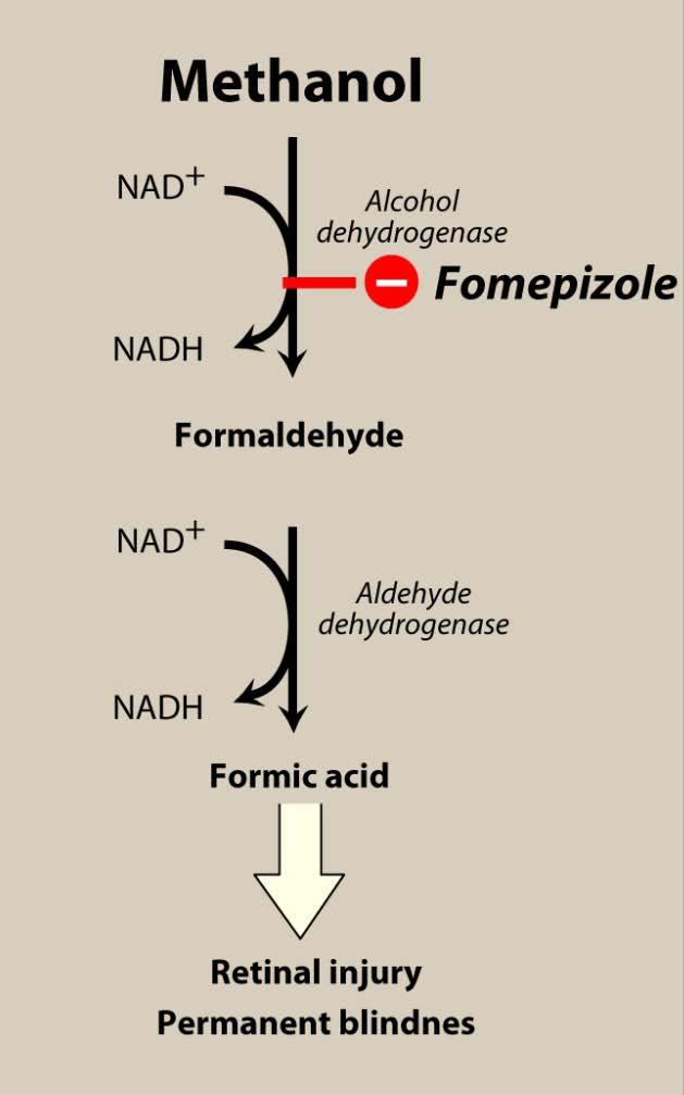 약물치료 Fomepizole