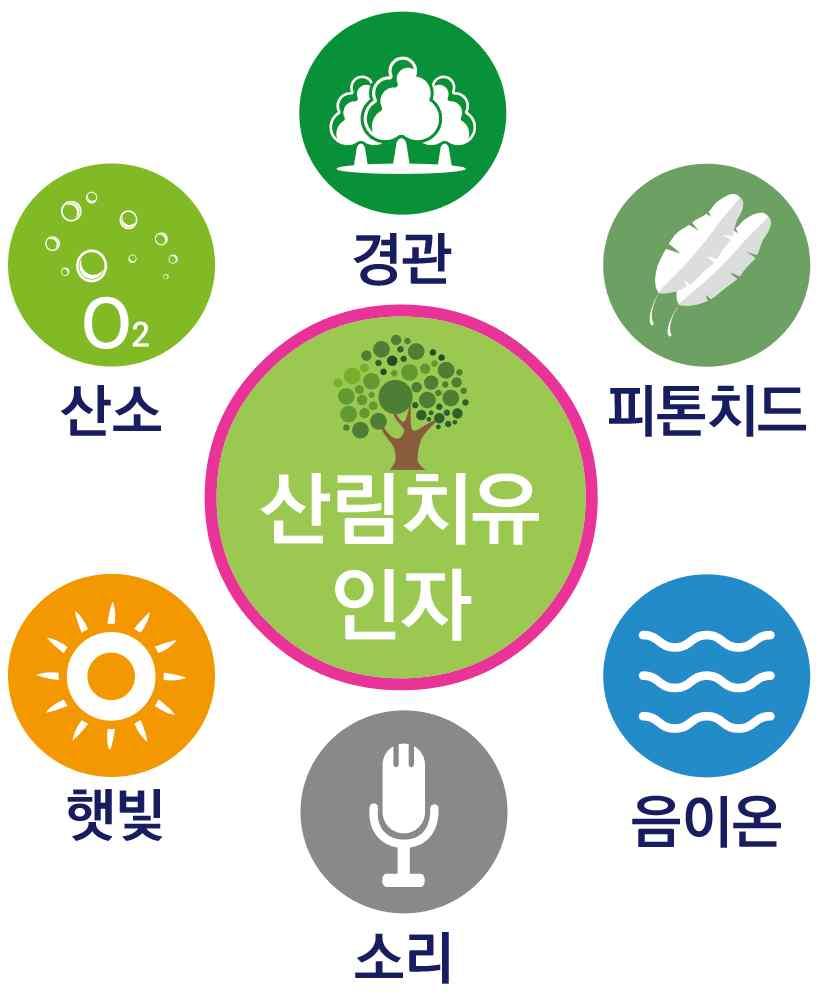 그림 9. 산림치유인자 자료 : 한국산림복지진흥원, http://www.fowi.or.