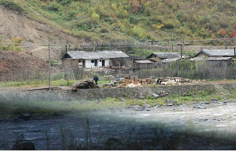 Ⅰ. 북한의산림 임업동향