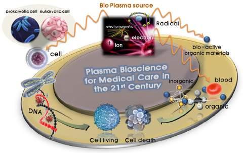 특집 플라즈마응용 [Fig. 1] Research areas of plasma biosciences [Fig. 2] ROS-mediated mechanisms for apoptosis of cancer cells 선구조로이루어진핵산물질임을발표하여, 신비한생명의원초적인물질에대한이해를한층깊게할수있게하였다.