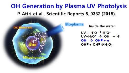 [Fig. 3] Plasma-initiated ultraviolet photolysis : Generation mechanism of reactive oxygen species inside the cell or biological tissue.