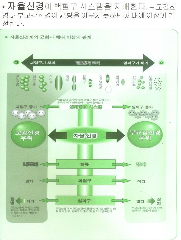 암 알레르기 47