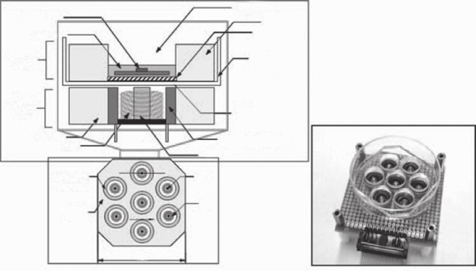 system (BioMEMS) was manufactured to produce a cyclic compressive load