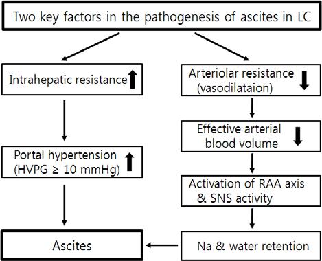 Figure 1. Differential diagnosis of ascites. The serum-ascites albumin gradient (SAAG) is high (>1.1 g/dl) when the source is hepatic sinusoids and low when the source is other than sinusoids.