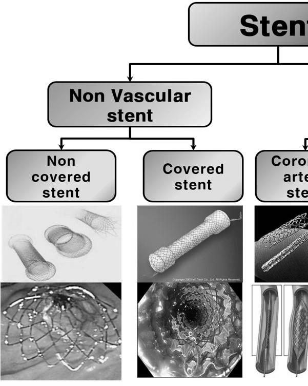 neurosurgery-blog.com Figure 1.