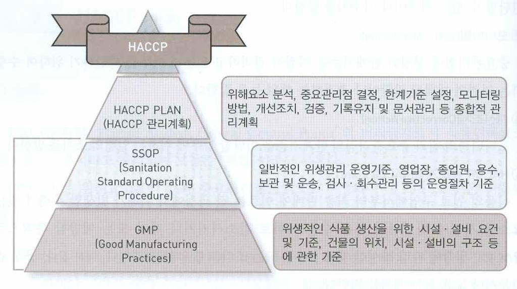 12) 종합적원인및대책 GMP(good manufacturing practice, 우수제조기준 ) : 식품제조에서의기준 SSOP ( 표준위생관리기준, Sanitation standard Operating Procedure) HACCP(hazard analysis and critical control points) :