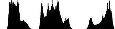 // (3) 히스토그램구조체, 히스토그램이미지영역을확보히스토그램구조체 CvHistogram, 히스토그램이미지를그리기한다 IplImage 의영역을확보한다.