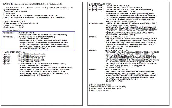 DNSSEC RR 포맷및기능 (14) DS RR 예 부모도메인 (ripe.