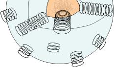 Solubility Effects Solubility of a poorly soluble compound increases as a