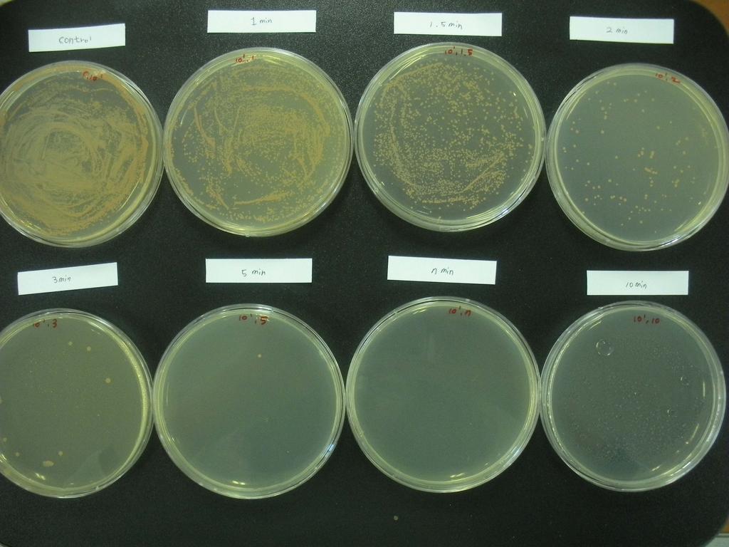 <Table 6> Radiation survival curve of bacteium isolated from dried laver (Unit: CFU/mL) Treatment time(min) Viable microbe cell number 1 0 3.45 10 6 1 7.60 ± 4.04 10 41 1.5 1.16 ± 6.45 10 4 2 1.