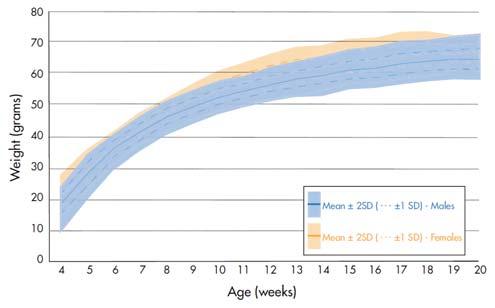 phenotypes: transiently hyperglycemic, glucose intolerant, hyperinsulinemic, and severely insulin resistant Low threshold for stimulation of insulin secretion High serum triglyceride levels High LDL