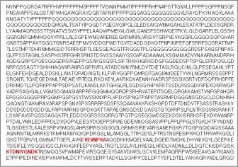 Fig.12. Matched the peptide sequence with Bck1 like MEKK of P.