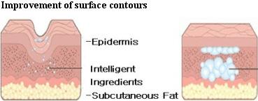 Lifting & Firming with the special blend of herbal extracts / 리프팅과수축 순수허브로개발된, 콜라겐합성촉진과피부탄력을획기적으로돕는새로운개념의식물성신소제입니다.