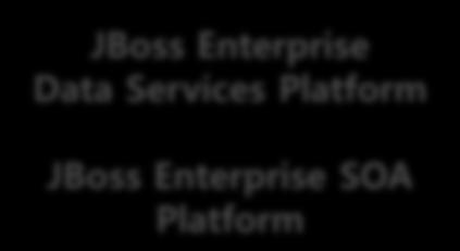 Platform JBoss Enterprise Data