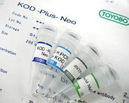 High Quality PCR Enzyme 높은정확도를요구하는 Cloning 에적합 KOD -Plus- / KOD -Plus- Neo Hot-start PCR로 PCR specificity 향상 PCR 반응