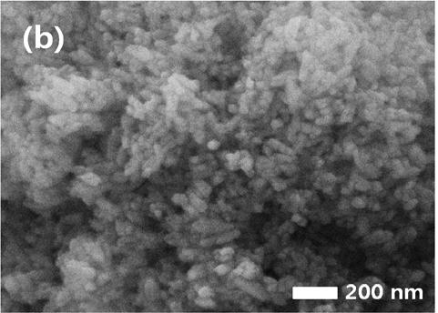 FE-SEM micrographs of ZrO2 powders prepared by hydrothermal process in 1 M KOH solution at 200 for (a) 4 h, (b) 12 h, and (c) 24 h. Figure 11.