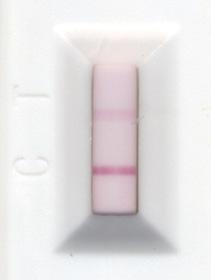 Cells, and a plvx vector expressing Clontech s ZsGreen1 fluorescent protein, a clear was generated Control by a diluted supernatant containing ~5 x 1 5 IFU/ml* (as measured by flow cytometry of