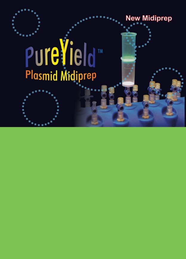 PureYield TM Plasmid Midiprep System Ordering Information PureYield TM Plasmid Midiprep System A2490 4 preps A2492 25 preps A2495 100 preps Figure 1.