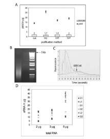 Removal of protein impurities is essential for arna labeling reaction LiCl