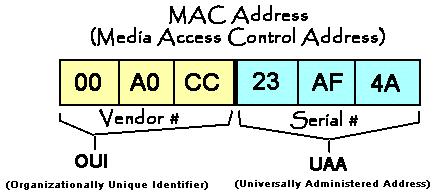 Lab2: DHCP Client (1) 2 1 EthernetInterface class