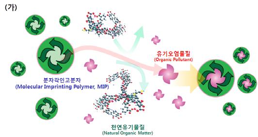 녹조발생수환경관리및대응기술 선택적산화제는유사시조류유발미량유기오염물질들에의한문제가예상될경우정수장에즉각투입하여대응할수있다. 오염물질선택적수처리산화제의개발은 [ 그림 3-2] 와같이세가지개념의전략으로추진할수있다.