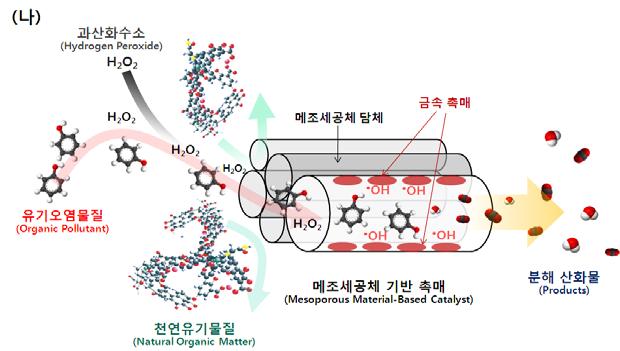 조류유발미량유기오염물질들의선택적산화기술 [ 그림 3-2] 오염물질선택적수처리제개념도 ( 가 :