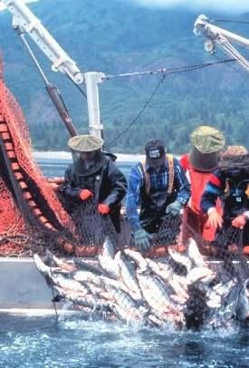 활용 3) Fisheries and Marine culture Fish and