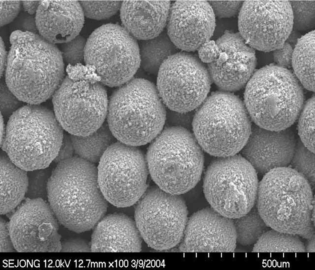 160 변창섭 오낙현 김영훈 천연욱 이상호 이원희 Figure 6. XPS wide scan spectra f a HA cating after heat treatment at 400C (a), 500C (b), and 600C (c). Table 2.