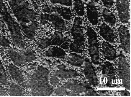 22 ε-ag 3 Sn/β-Sn 24 Sn-3.Ag β-sn 21 L+ β Sn L+ η L+β Ag 3 Sn L+ η+ β -Sn Ag 3 Sn+ β Sn+η Fig. 6 Microstructure of alloy 3,4) 구조를 Fig. 6 에나타내었다.