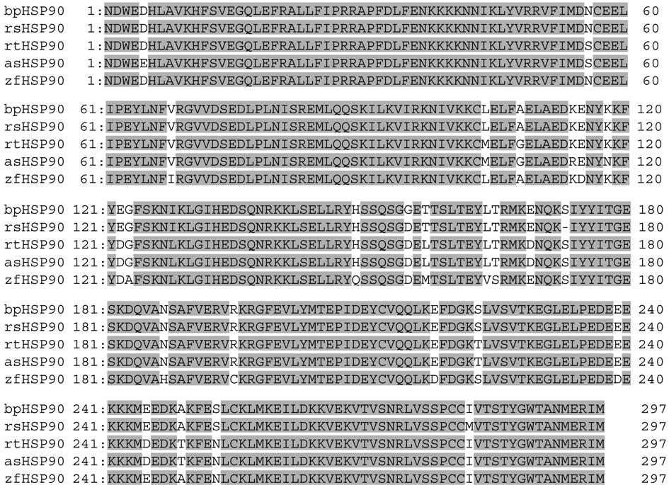 HSP90, HSP70 mrna x cortisol glucose y 317 HSP90 HSP70 mrna s HSP90 HSP70 mrna ü p x w» w, RT-PCR w. Total RNA,,, l w, RT-PCR ww» w HSP90 HSP70 primer Table 1 ùkü.