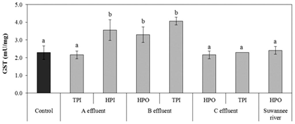 Antioxidant enzyme activity of (a) catalase (CA), (b) glutathion peroxidase (GPx), (c) malondialdehyde (MDA) and (d) glutathione S-transferase (GS) in Daphnia magna exposed to effluent (A, B, C