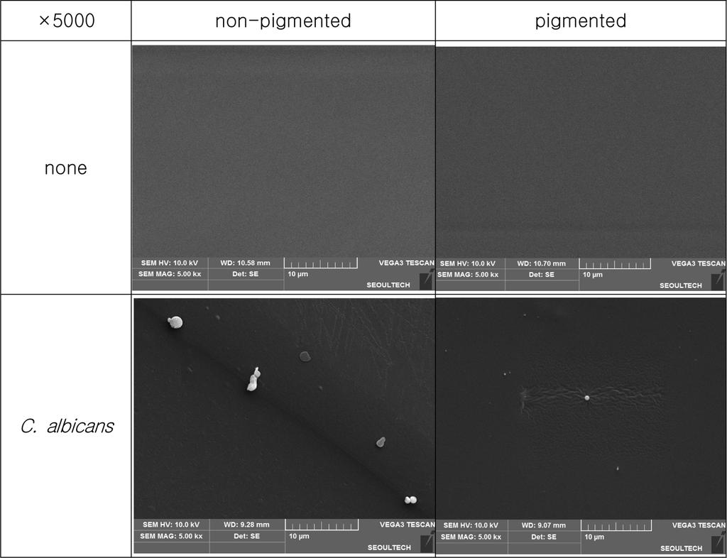 Fig. 3. The representative pictures of C.