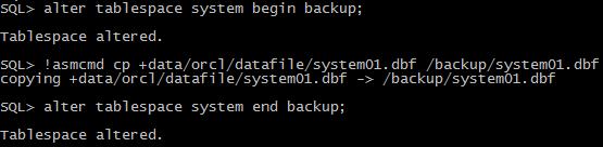 STATUS ------------ OPEN 모든파일의이름을기존 filesystem 유형과유사하게변경이되었다. 이제 hotbackup 을진행하면되며백업방법은기존과유사하다. 기존에는!cp 로했던것에서!asmcmd 가하나더붙는것외에차이는없다. 위와같은방법으로 sysaux, undotbs1, users 를진행한다. 4.