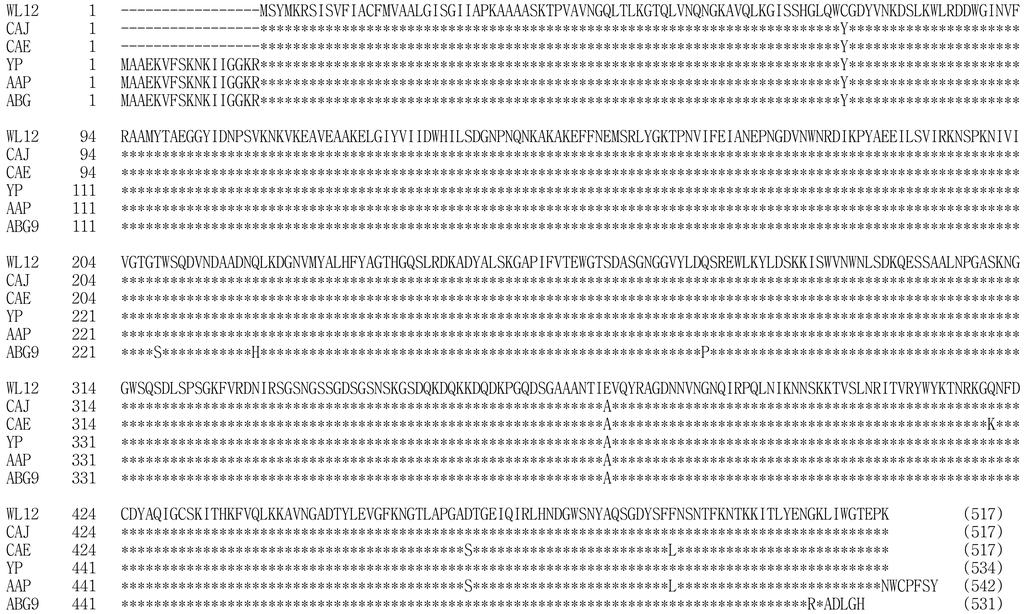 Putative amino acid sequence corresponding to the signal peptide is italicized. The numbers at the end of each line correspond to the nucleotide positions. Fig. 1. Comparison of the B.