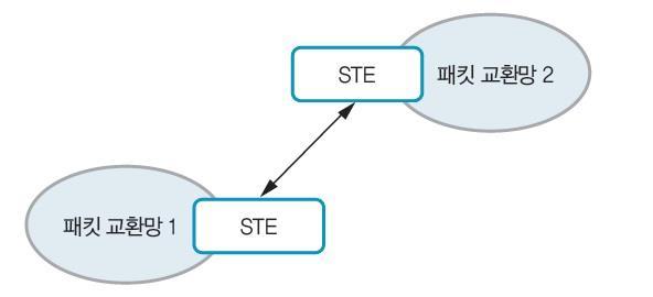 X.75 제반시스템의구조, 패킷교환방식에관한규정과망간접속을담당하는장비인 STE(Signalling Terminal