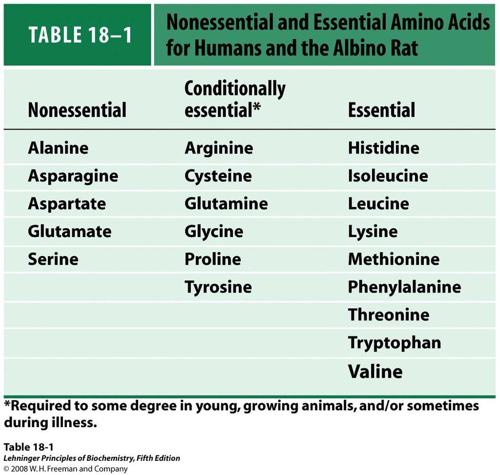 < Nonessential and Essential Amino