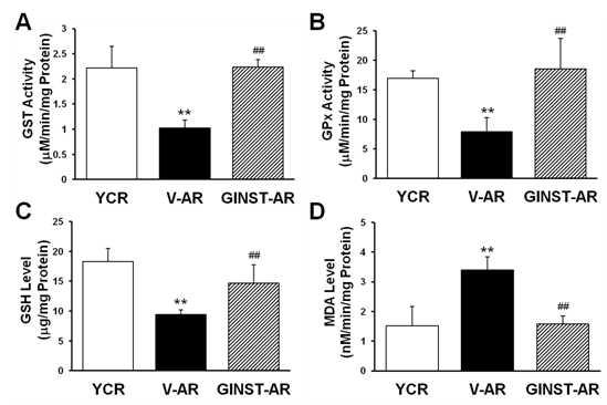 Figure 5. Effects of GINST on testicular antioxidant enzymes in aged rats. (A) GST activity (μmol/min/mg of protein). (B) GPx activity (μmol/min/mg of protein).