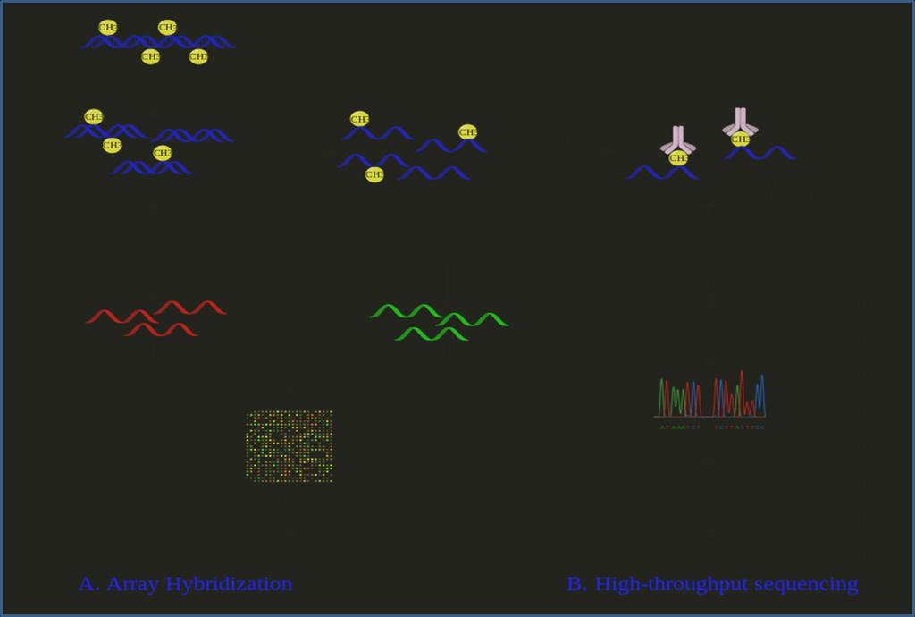 Figure 1-1.