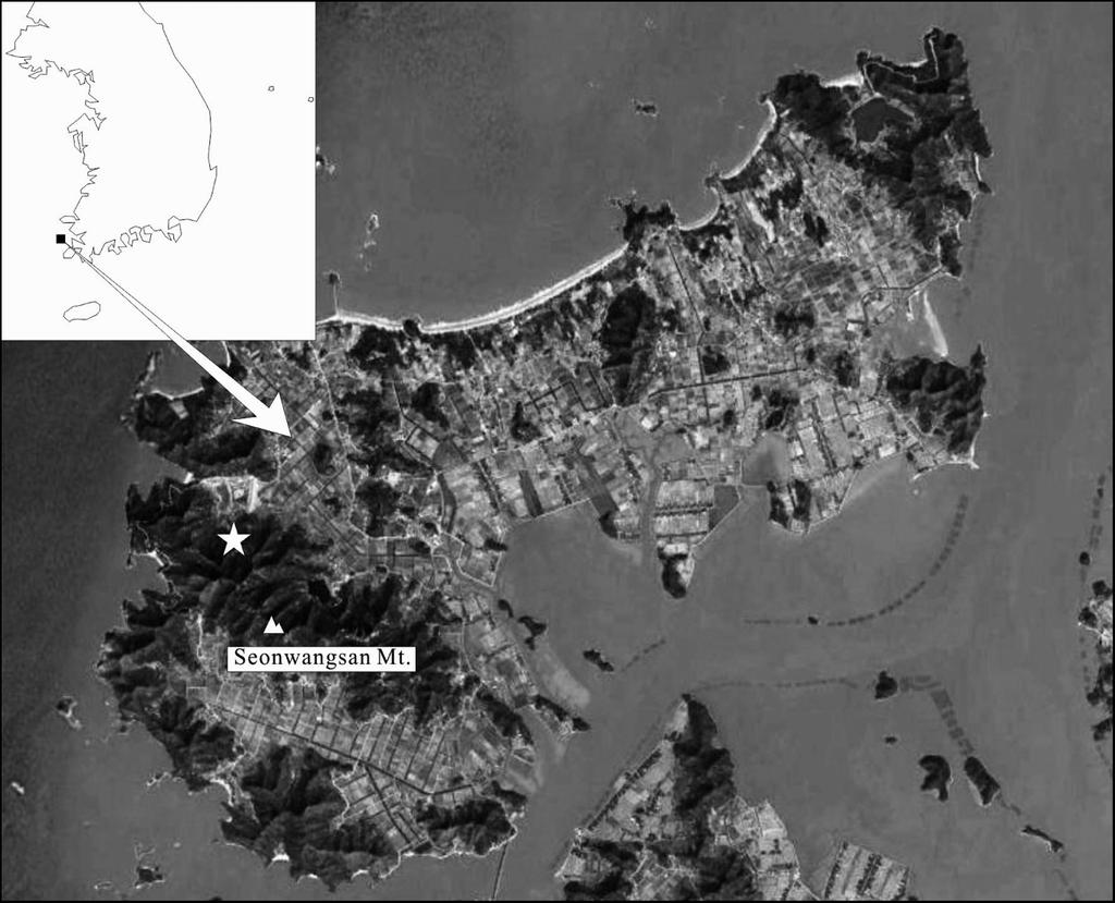 9 Do Hong Kim and Se Kyeong Yoo Fig.. The map shows Bigeumdo Island. Asterisk showing the study site. Table. Number of species of moths collected from Bigeumdo Island in Family.Jun..Aug.