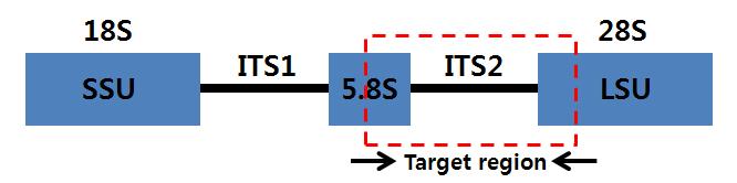 For 454 FLX Titanium 454 Key TCAG For 454 FLX Titanium Linker Barcode 2 bp long sequence 7~11 bp long unique sequence template genomic sequence 와