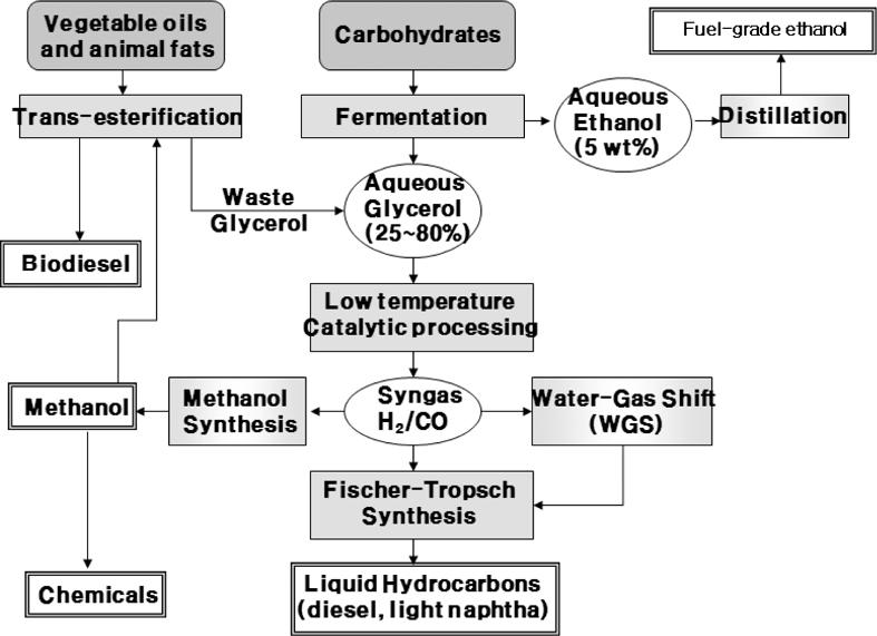 박승규 랑문정 2.3. Hydrogenolysis: Propylene glycol 최근글리세롤을프로필렌글리콜(1,2- 프로판디올) 로전환시키는기술이개발되었는데, 바이오디젤설비로부터직접부동액(70% 프로필렌글리콜 + 30% 글리세롤) 용도로생산, 정제, 상업화되었다.