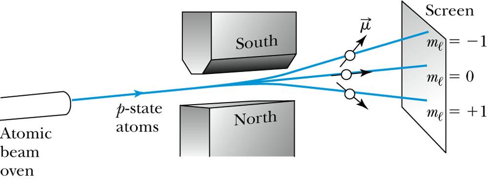 Ster-Gerlach Experiet A atoic bea of particles i the l = 1 state pass through a agetic field alog the z directio.