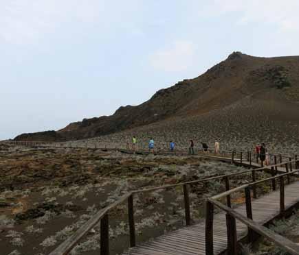 정상에서보이는바다모습 정상에있는등대 갈라파고스펭귄 산티아고 (Santiago) 섬인근의바르똘로메섬