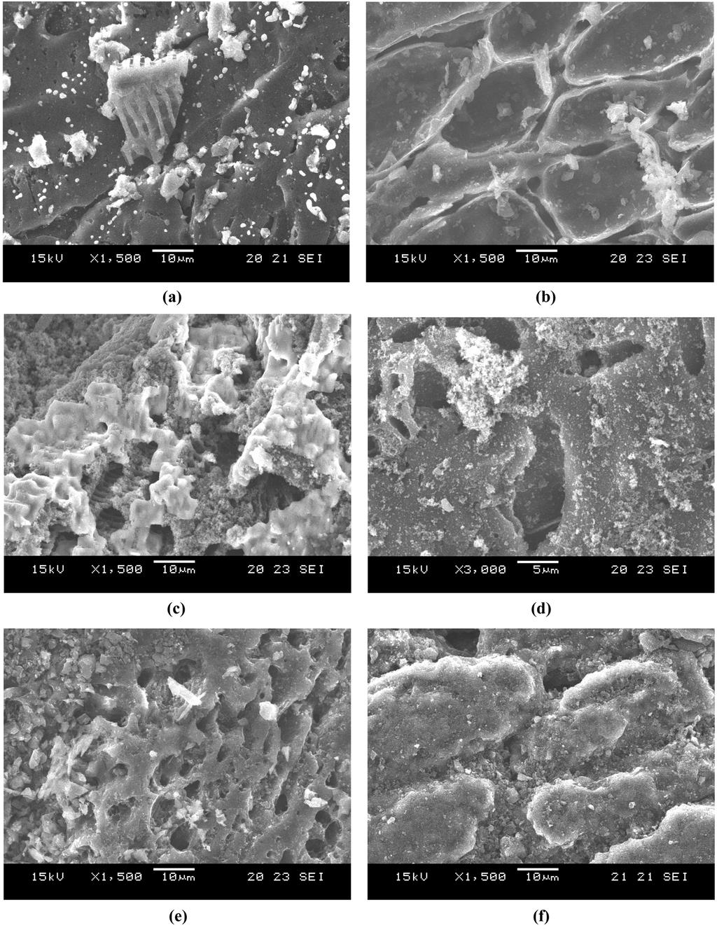 Characteristics of Surface Modified Activated Carbons Prepared by Potassium Salt Sequentially After Hydrochloric Acid Treatment 37 막으므로 인하여 미세동공 혹은 극미세 동공으로 변화한 것으 로 여겨진다.